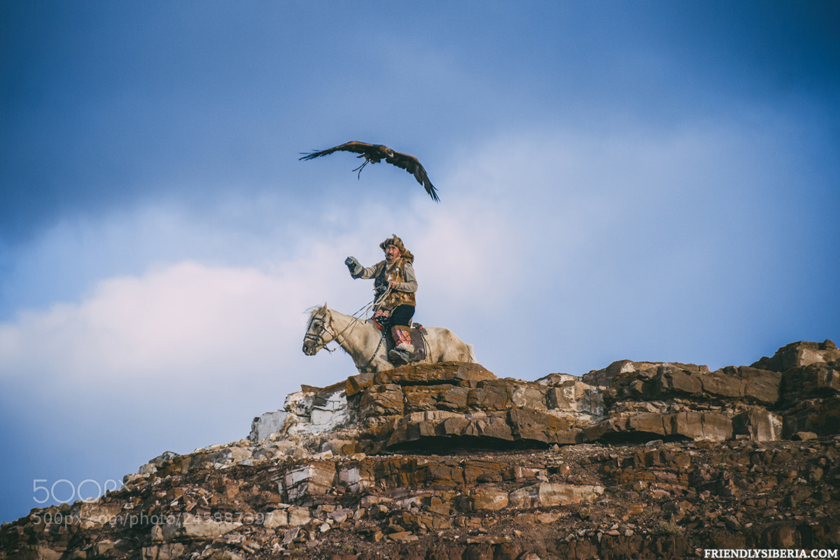 Sony Alpha DSLR-A700 sample photo. Eagle hunter. photography