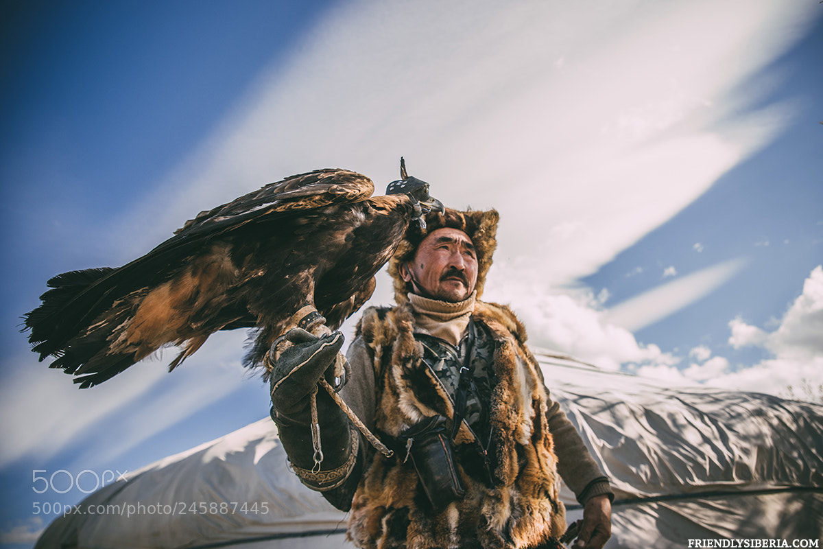 Sony Alpha DSLR-A900 sample photo. Eagle hunter. photography