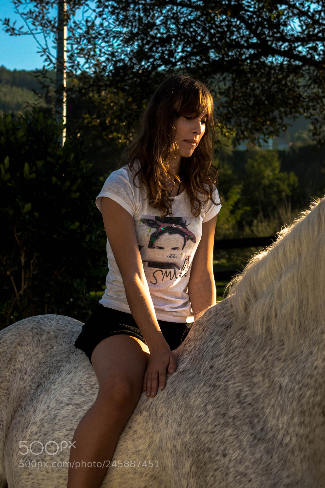 Nikon D5500 sample photo. Amh photography