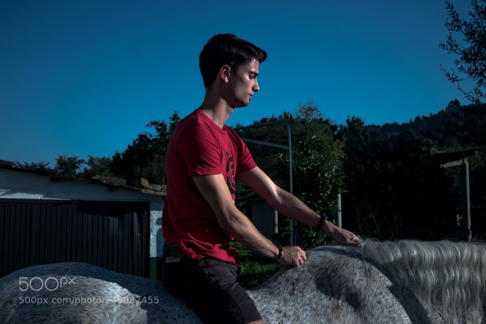 Nikon D5500 sample photo. Amh photography