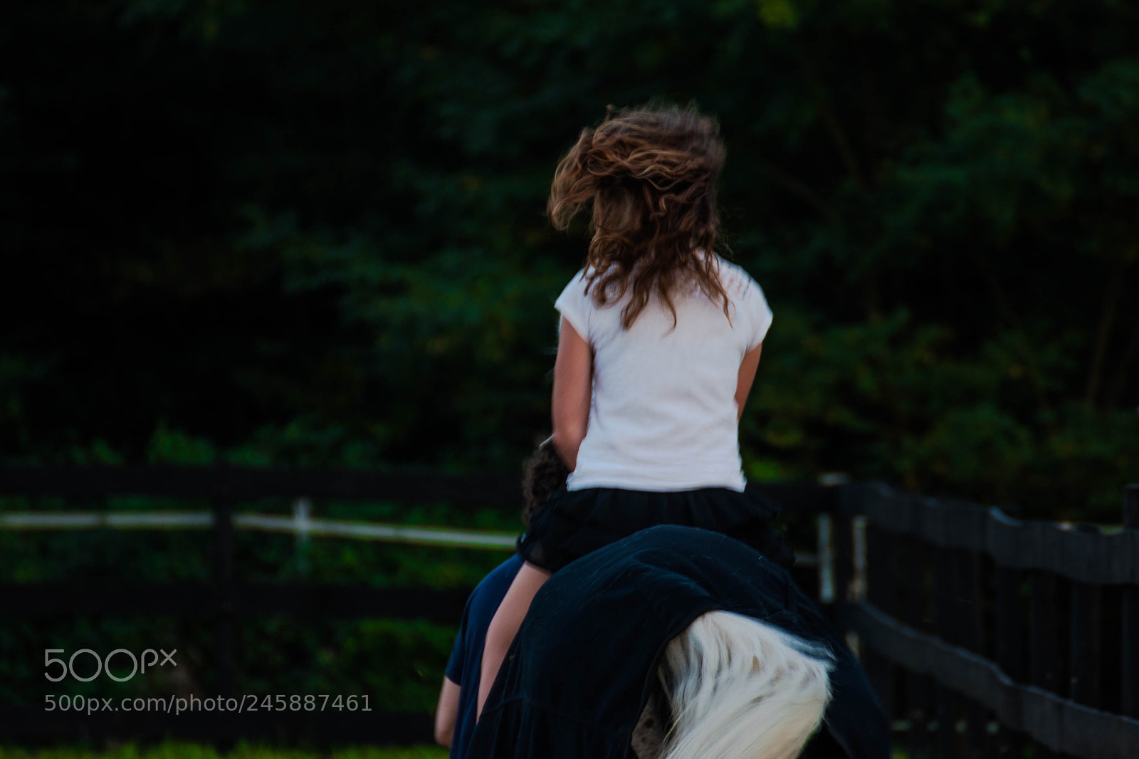 Nikon D5500 sample photo. Amh photography