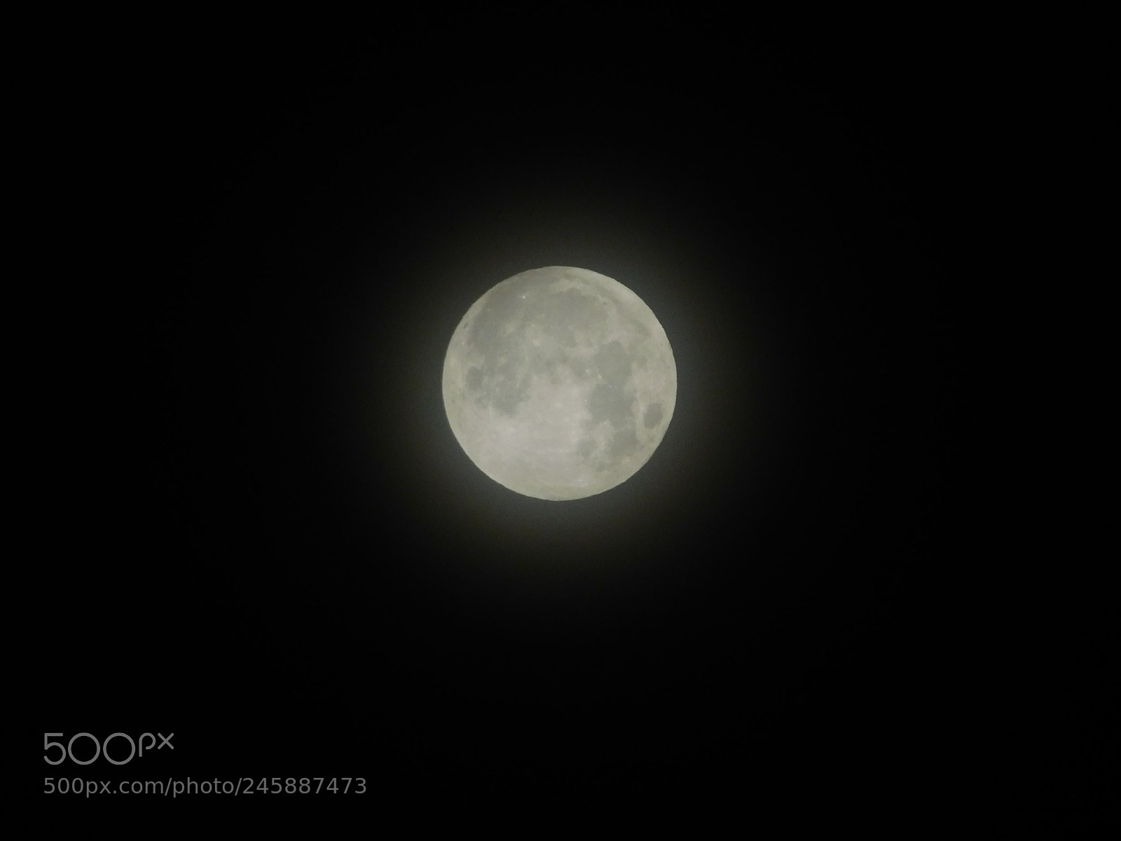 Nikon Coolpix B500 sample photo. Super blue blood moon photography