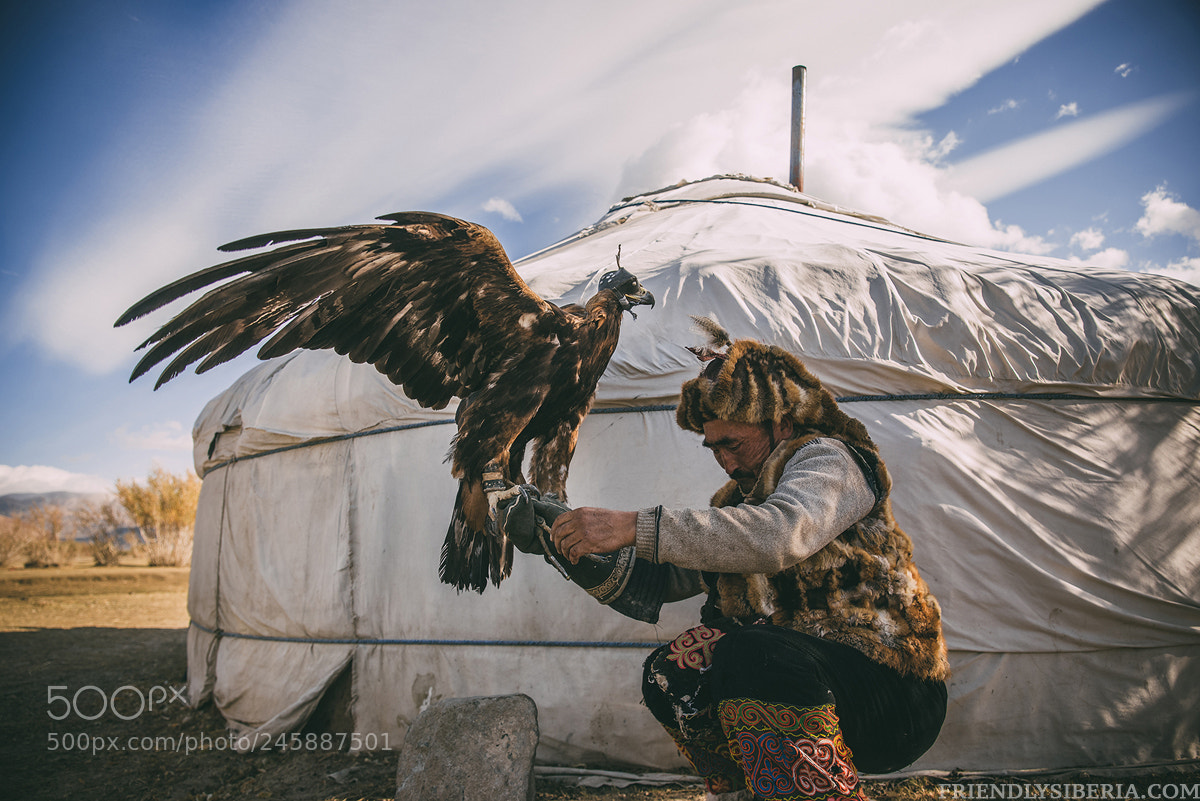 Sony Alpha DSLR-A900 sample photo. Eagle hunter. photography