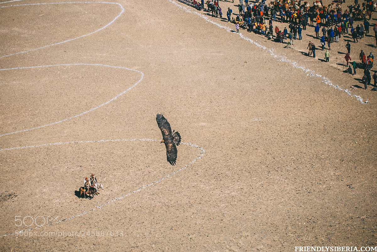 Sony Alpha DSLR-A700 sample photo. Golden eagle festival. photography