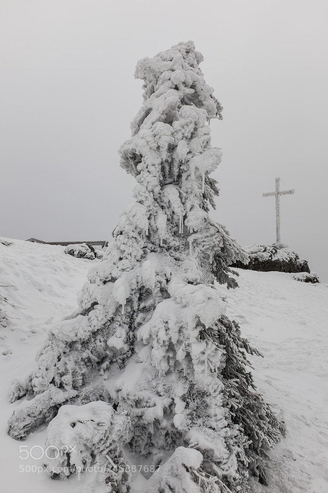 Fujifilm X100T sample photo. Arber peak photography