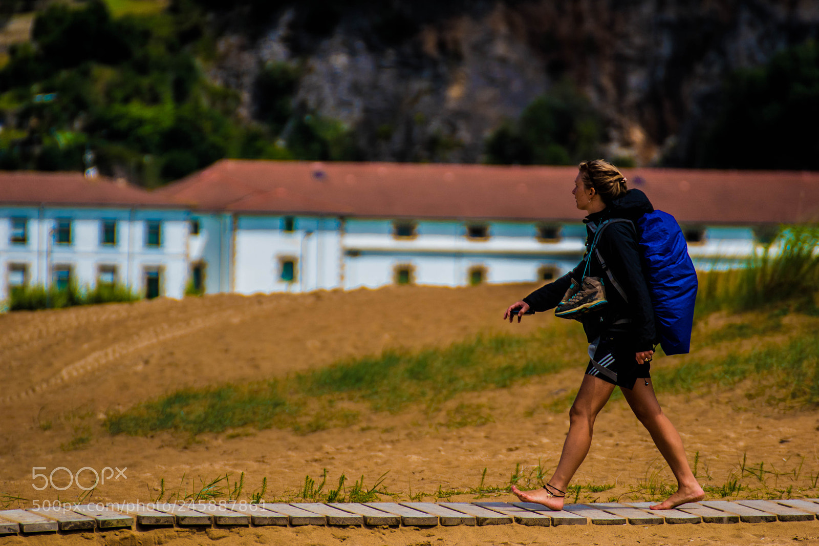 Nikon D5500 sample photo. Amh photography