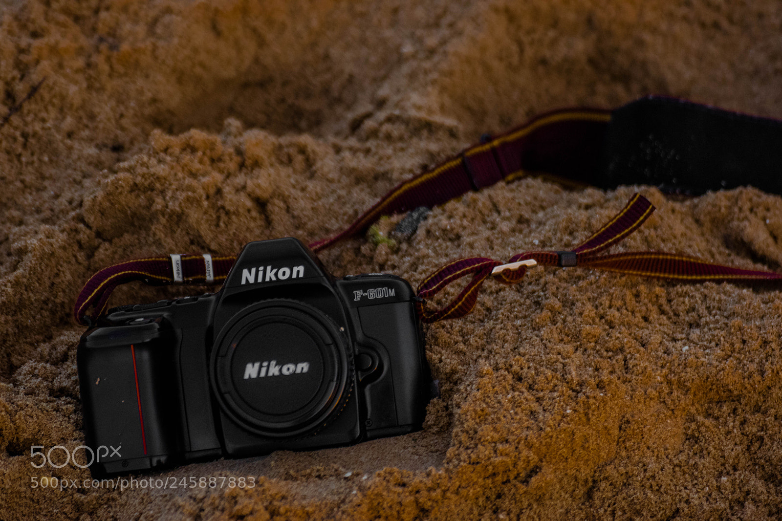 Nikon D5500 sample photo. Amh photography