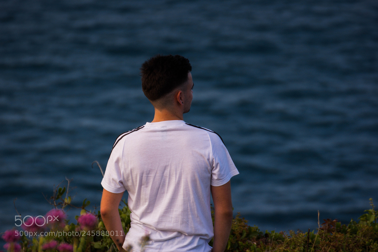 Nikon D5500 sample photo. Amh photography