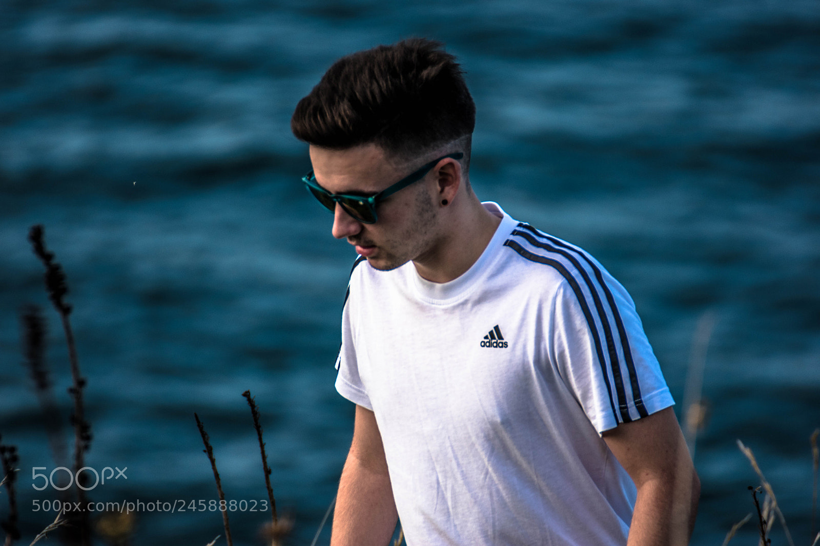 Nikon D5500 sample photo. Amh photography