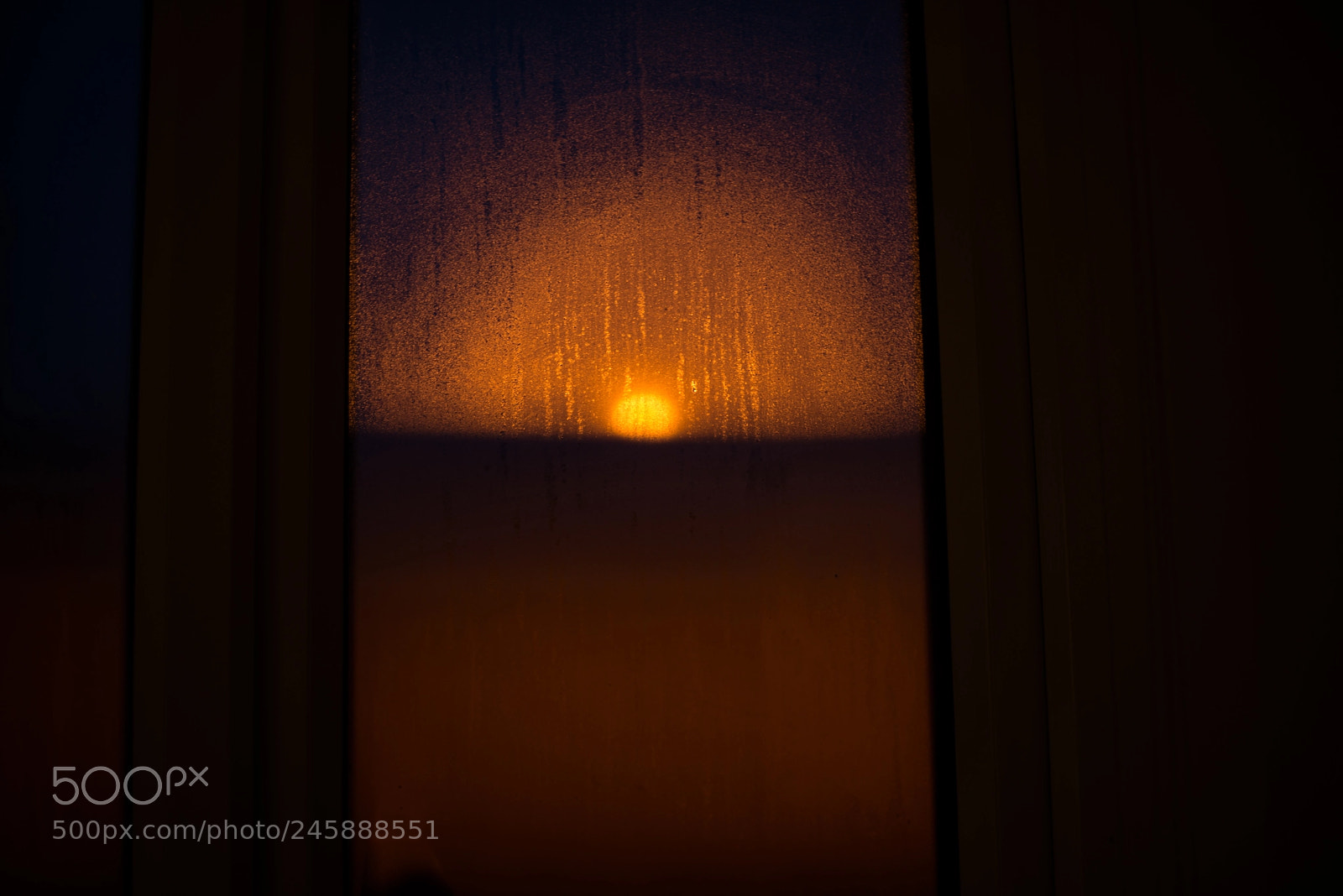 Nikon D800 sample photo. What is it? photography
