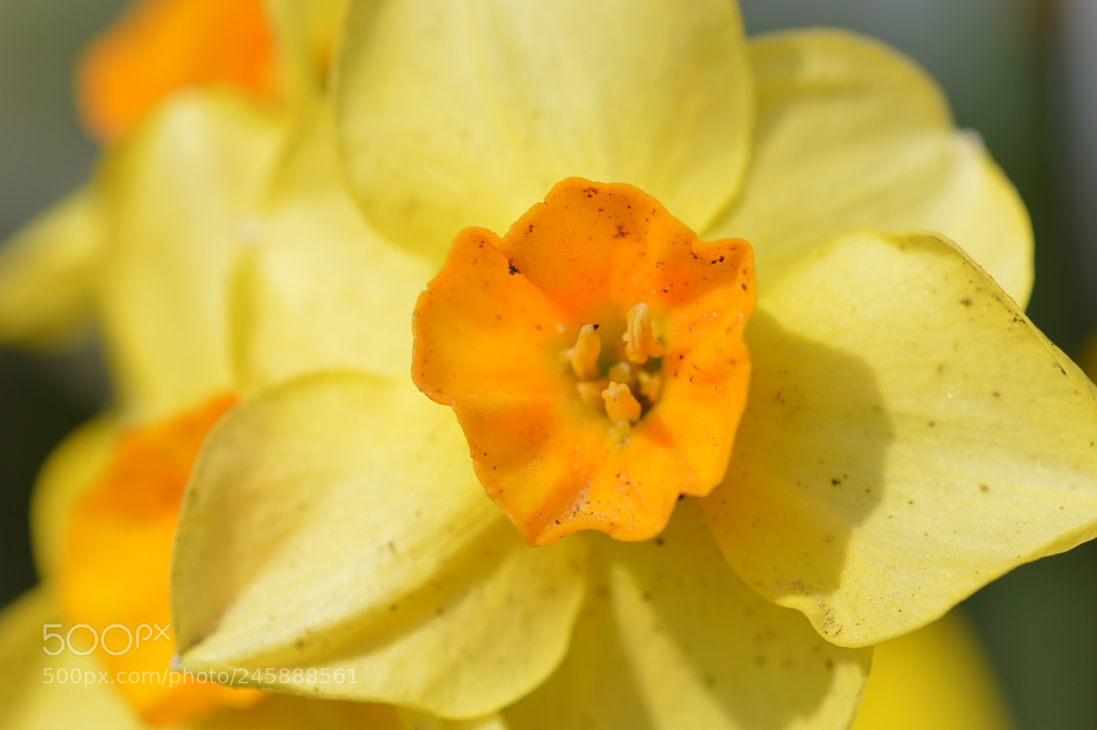Nikon D3200 sample photo. Have a great week photography