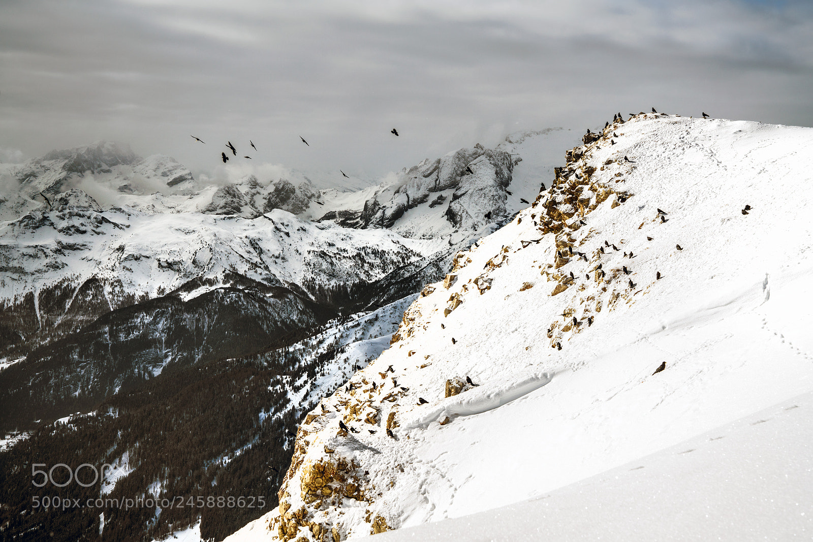 Sony a7R II sample photo. Birds of lagazuoi, 2778 m photography