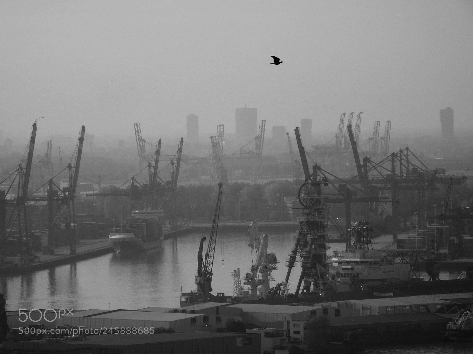 Fujifilm FinePix SL1000 sample photo. Rotterdam photography