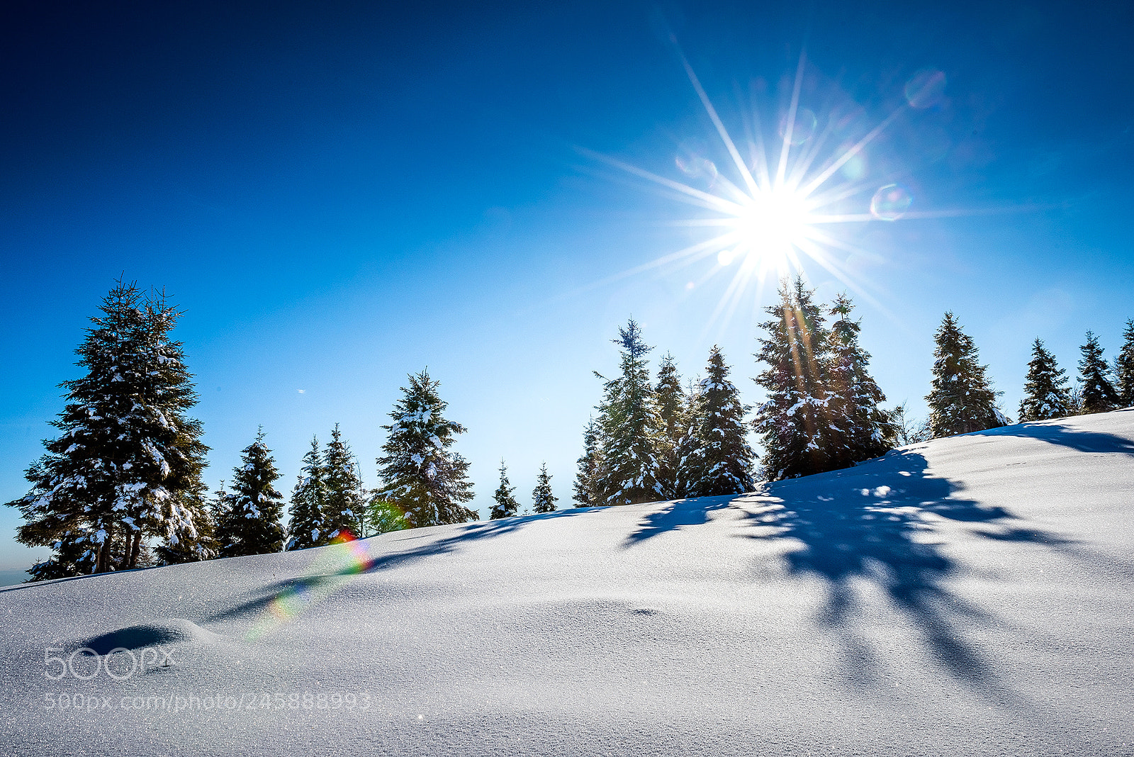 Nikon D810 sample photo. Snowland photography