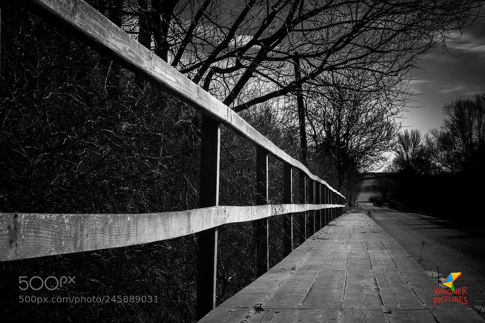 Fujifilm X-T2 sample photo. Willy watt photography