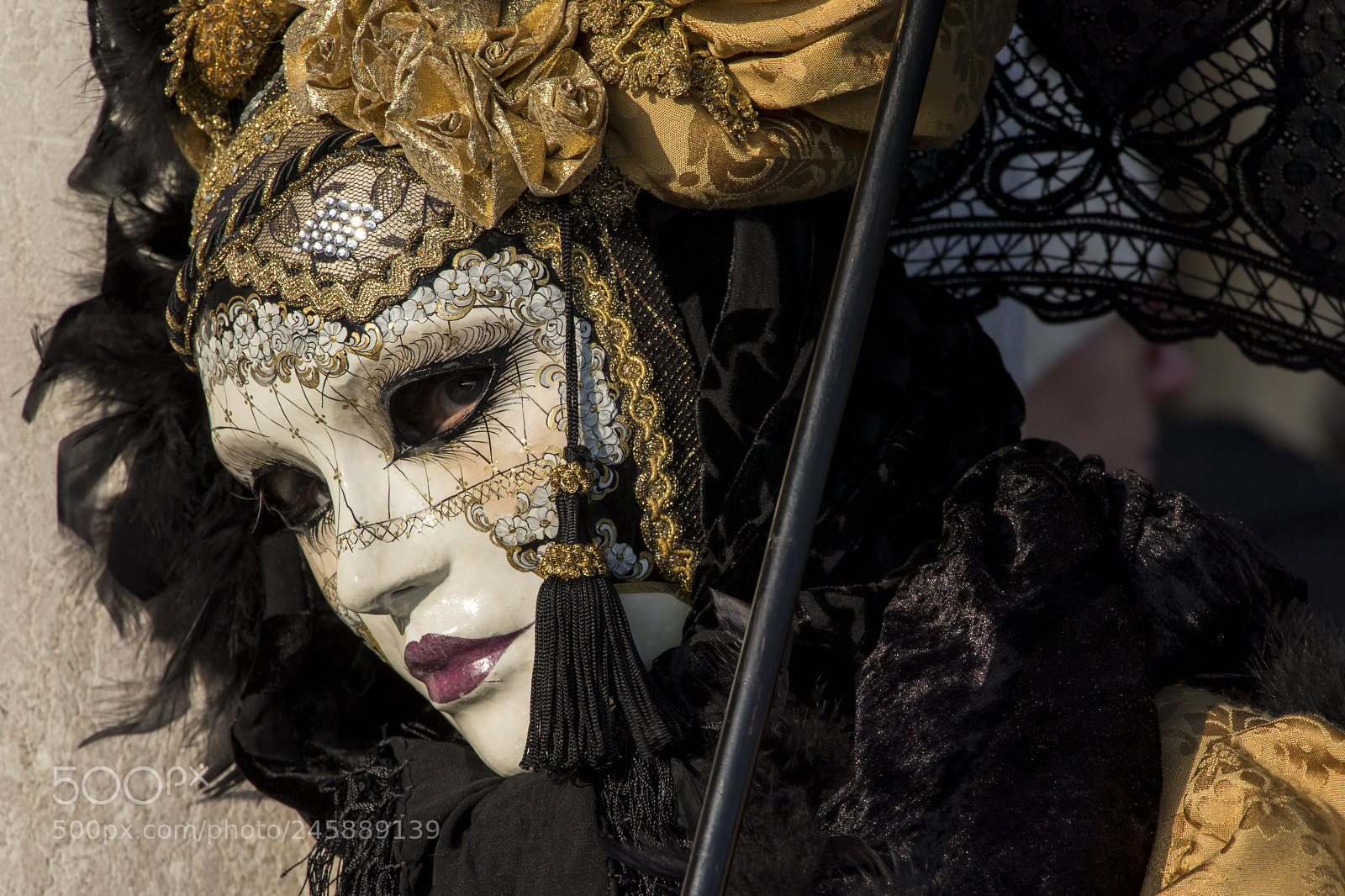 Canon EOS 77D (EOS 9000D / EOS 770D) sample photo. Venice carnival photography