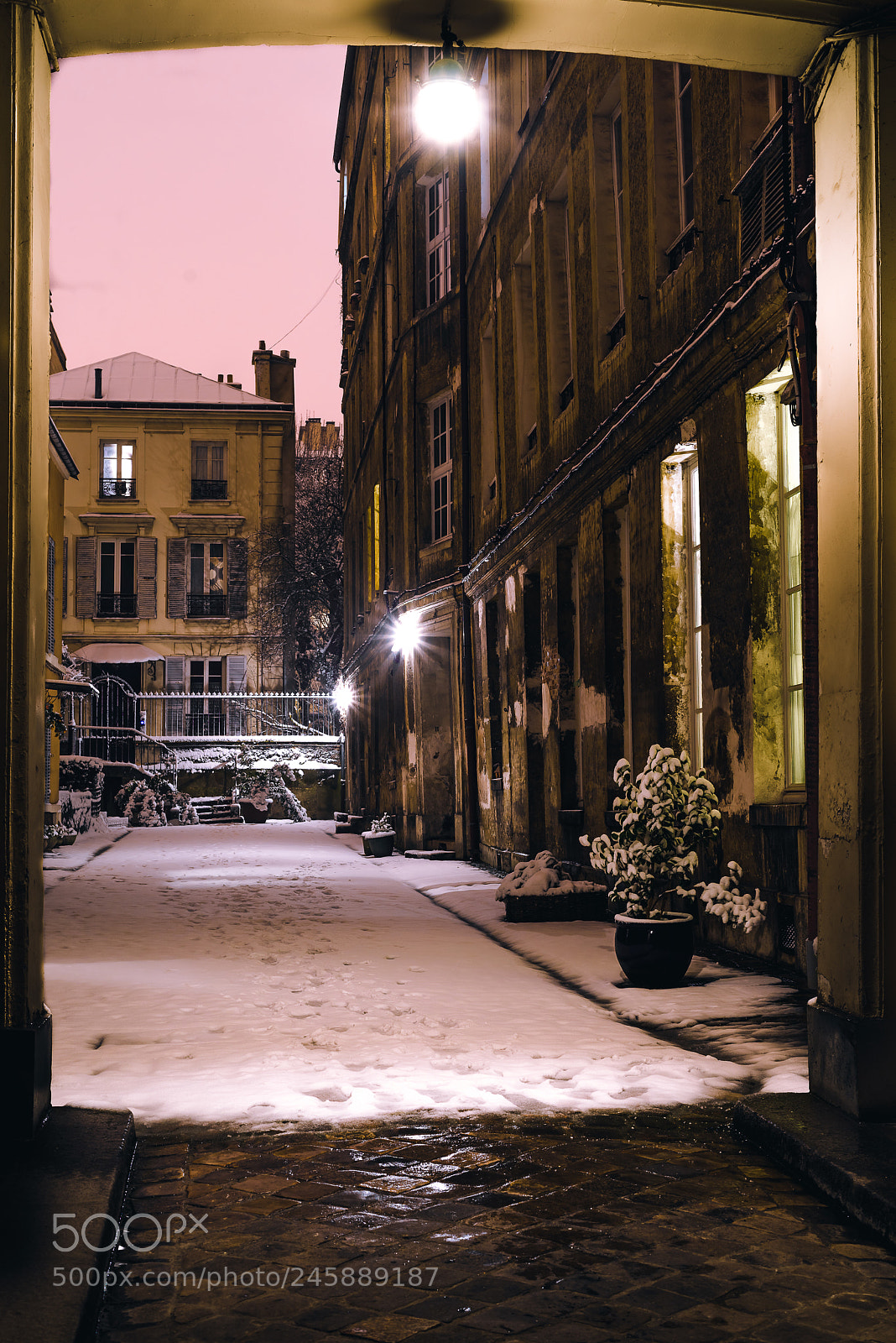 Sony a7R sample photo. Snowy path, versailles photography