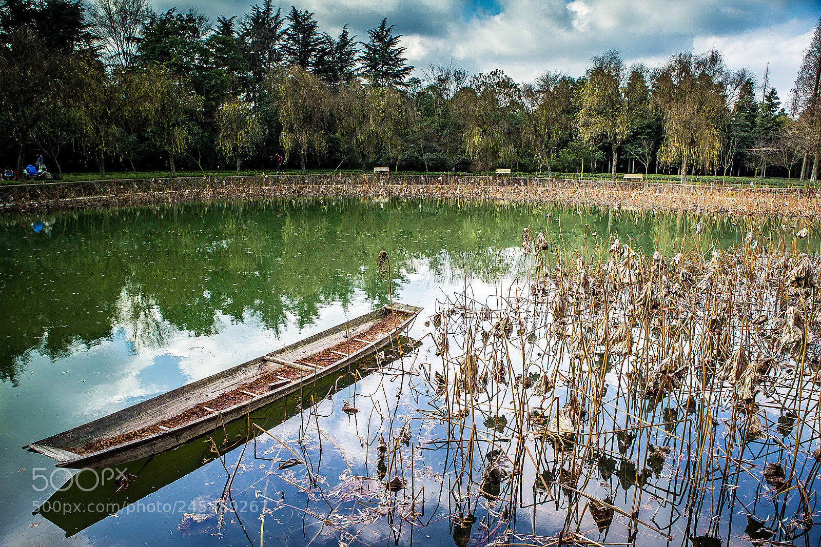 Canon EOS-1D X sample photo. Fall in pond photography