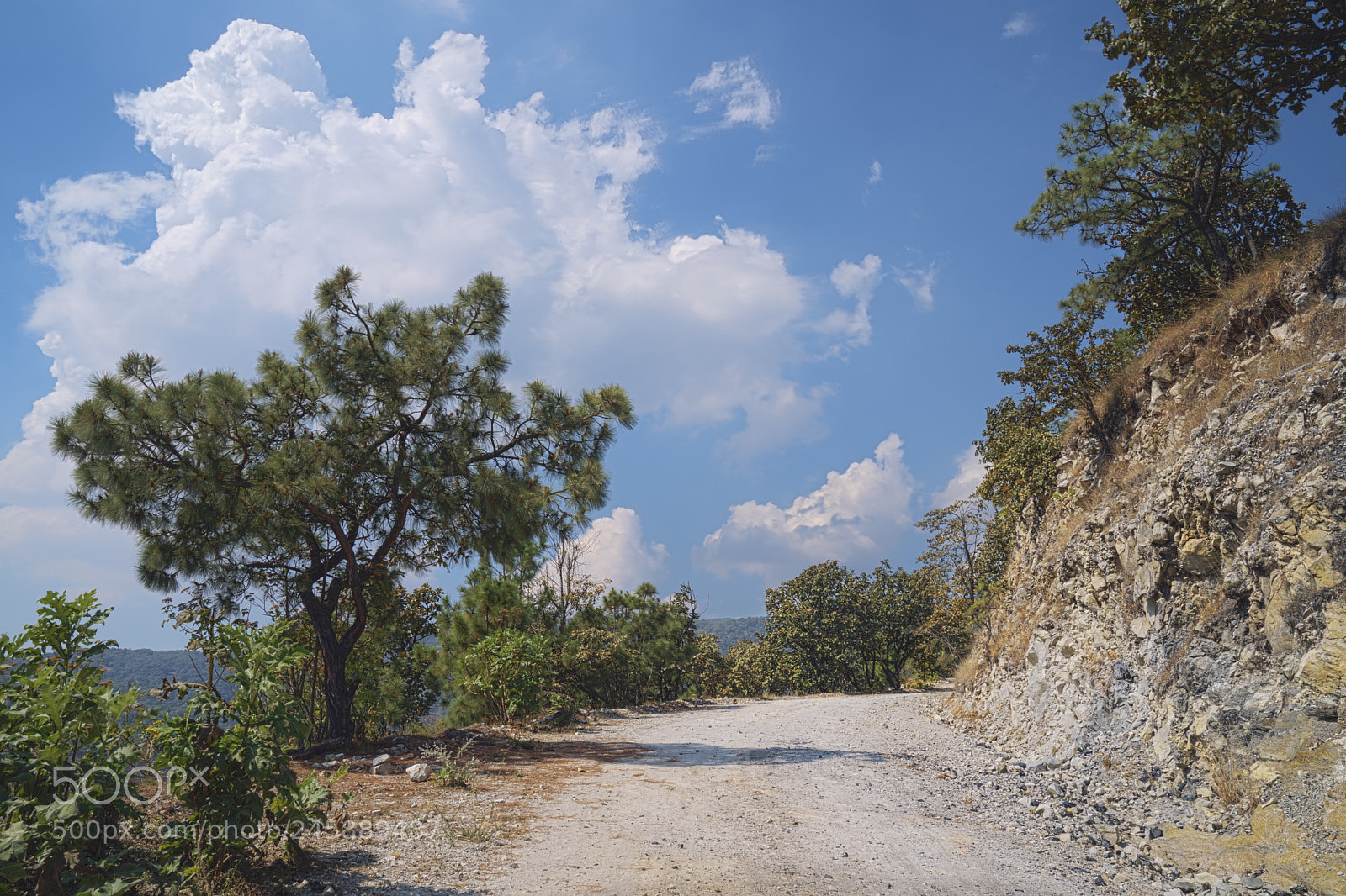Sony a9 sample photo. La primavera photography