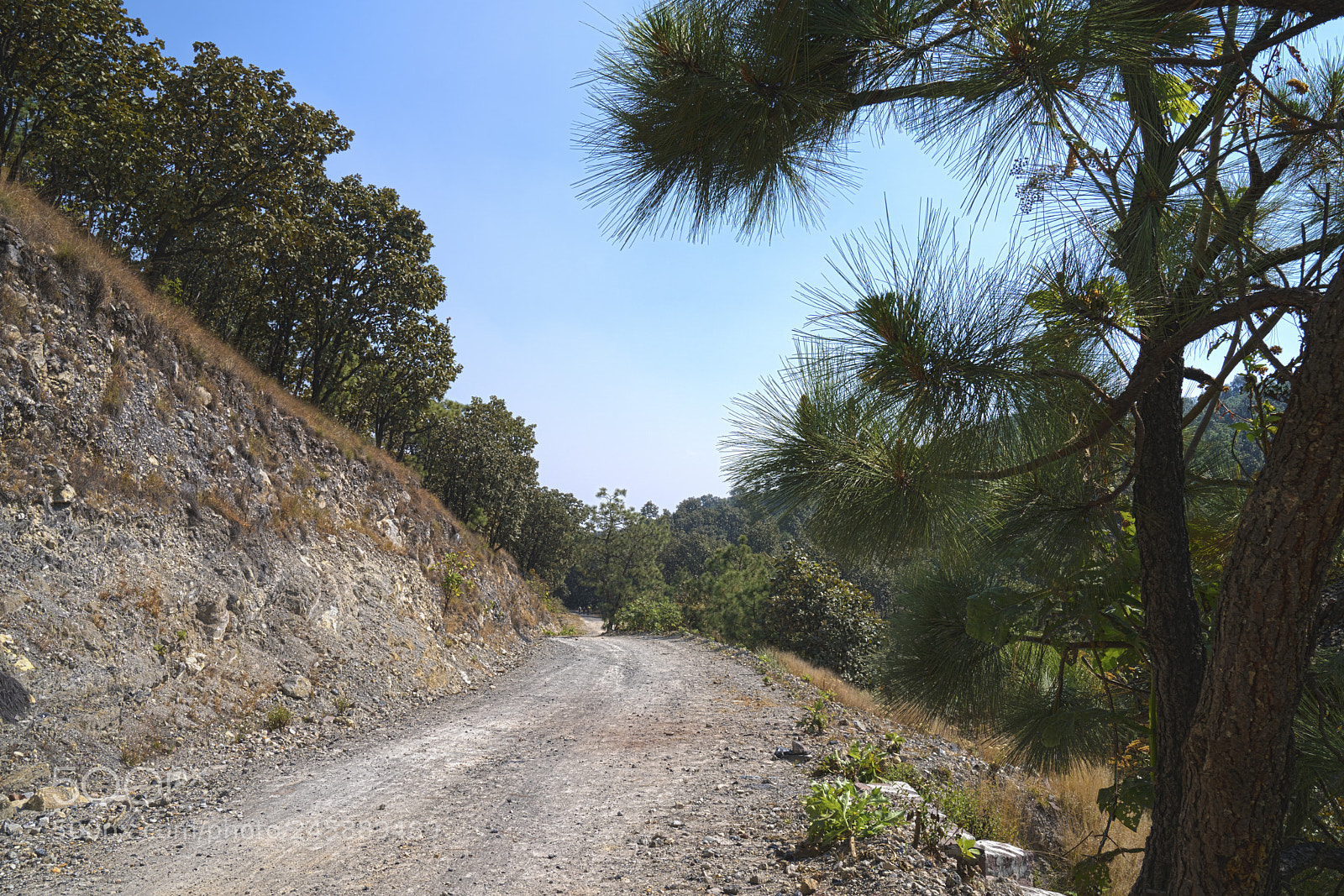 Sony a9 sample photo. La primavera photography