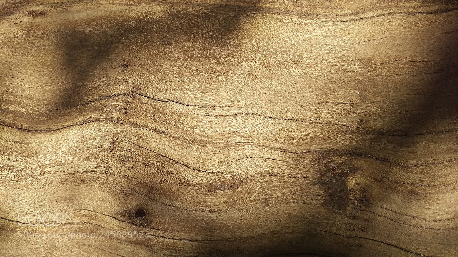 HTC ONE M9 sample photo. Shades of gold photography