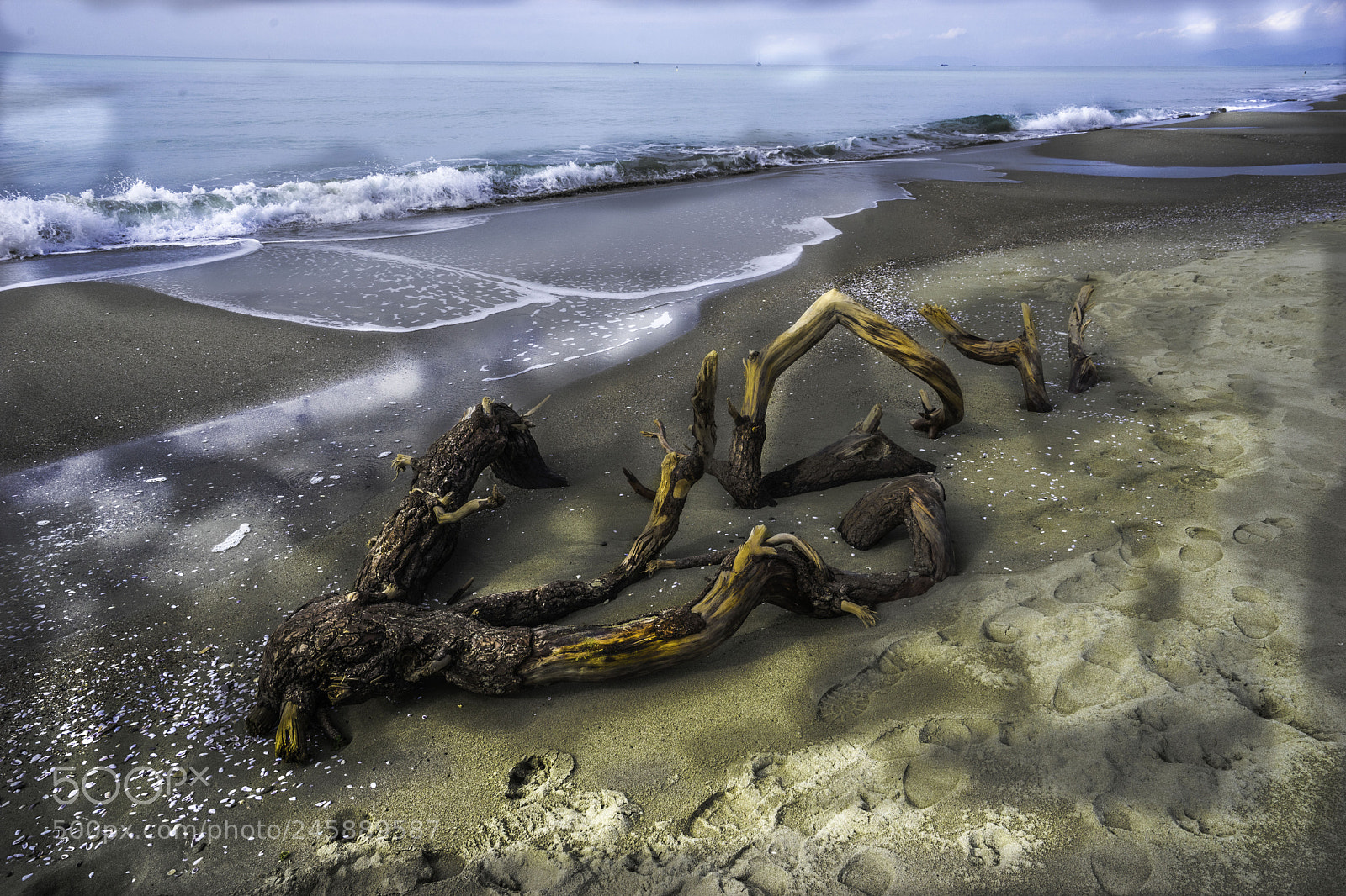 Sony a7 II sample photo. Vecchiano naufragb photography