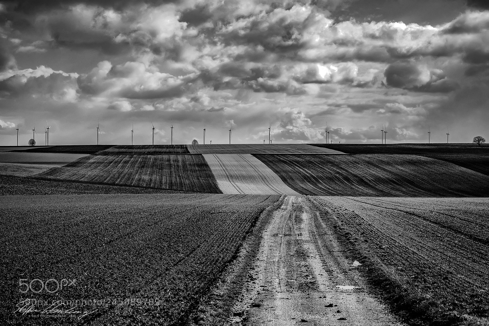 Fujifilm X-T2 sample photo. Wide wide field photography