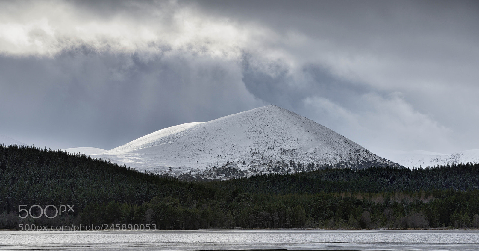 Nikon D800E sample photo. Loch morlich photography