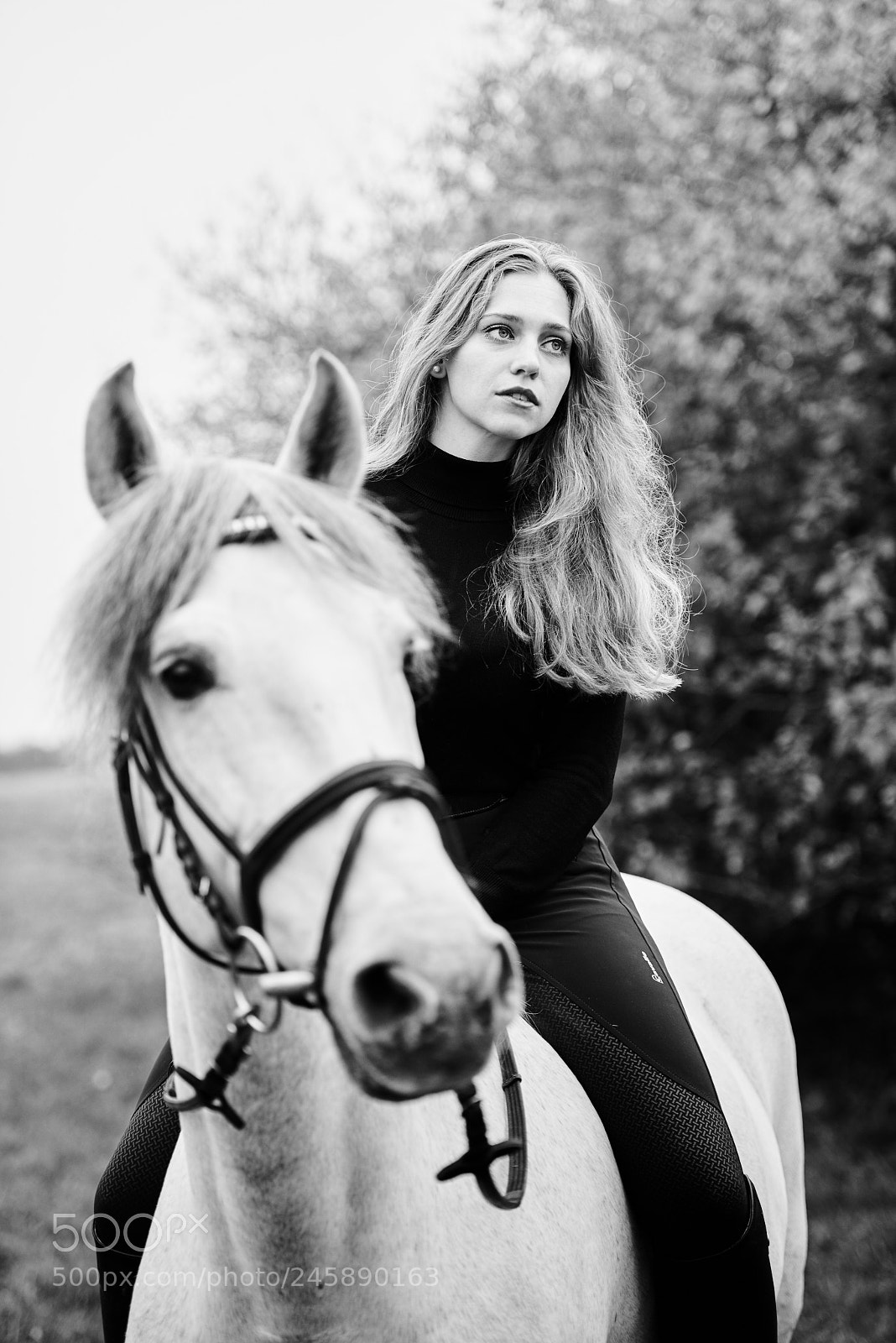 Nikon D810 sample photo. Nadine photography
