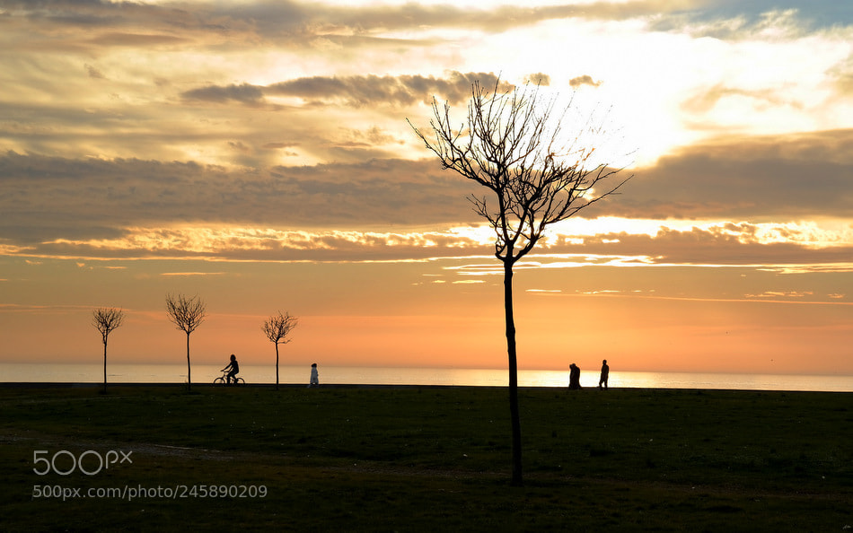 Samsung NX300 sample photo. ... photography
