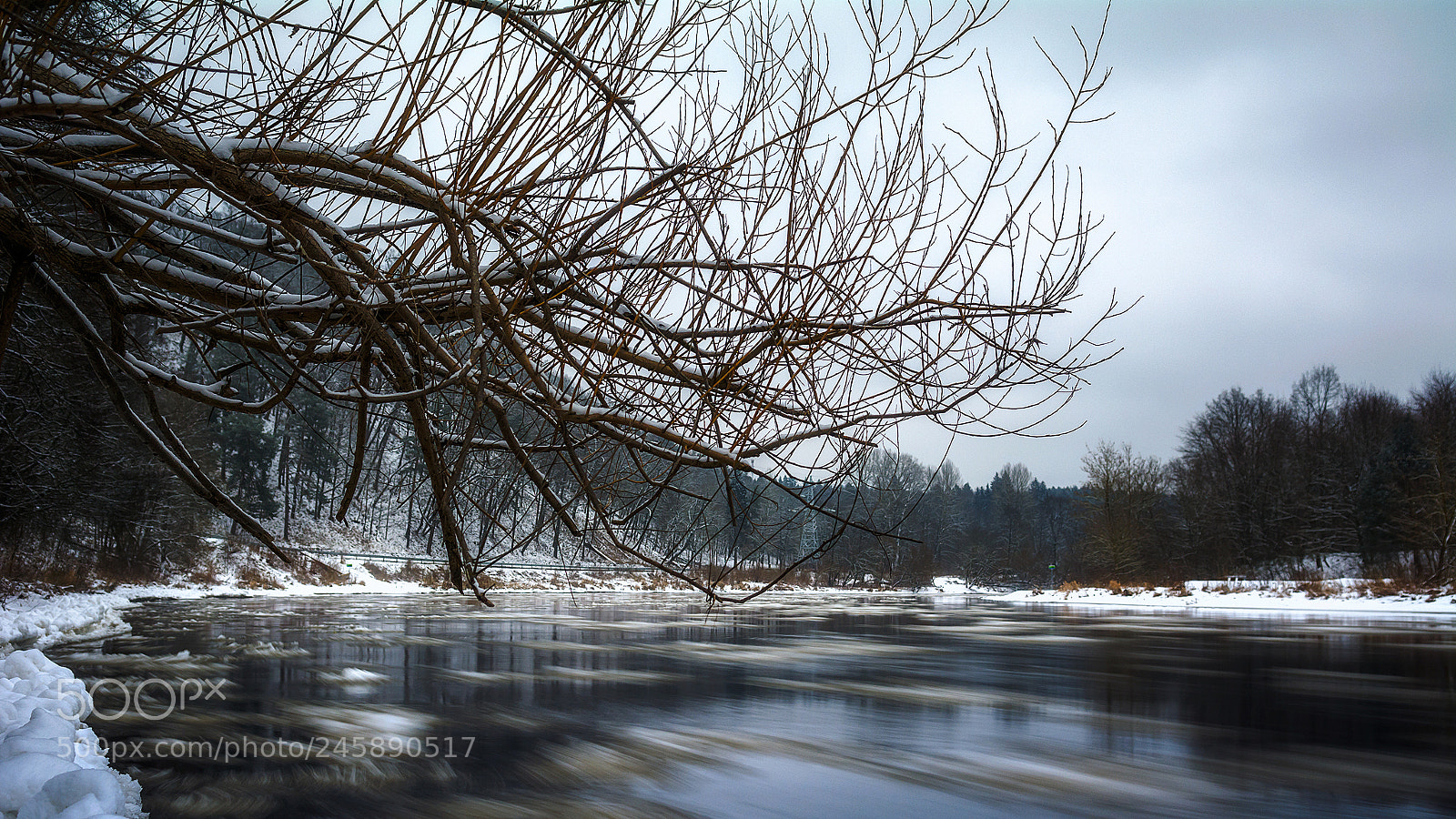 Nikon D7100 sample photo. Branches photography