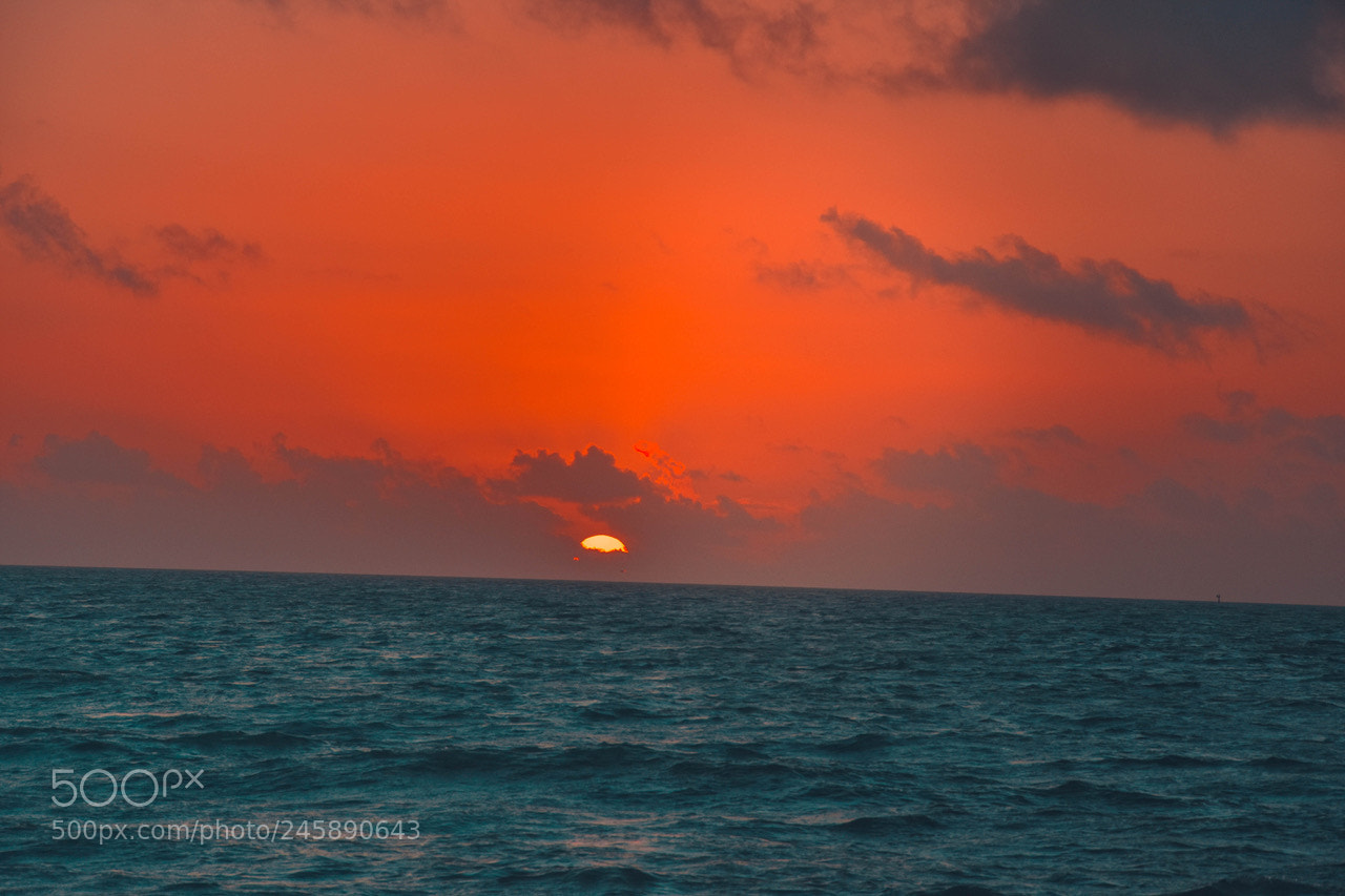Nikon D7200 sample photo. Red.. photography