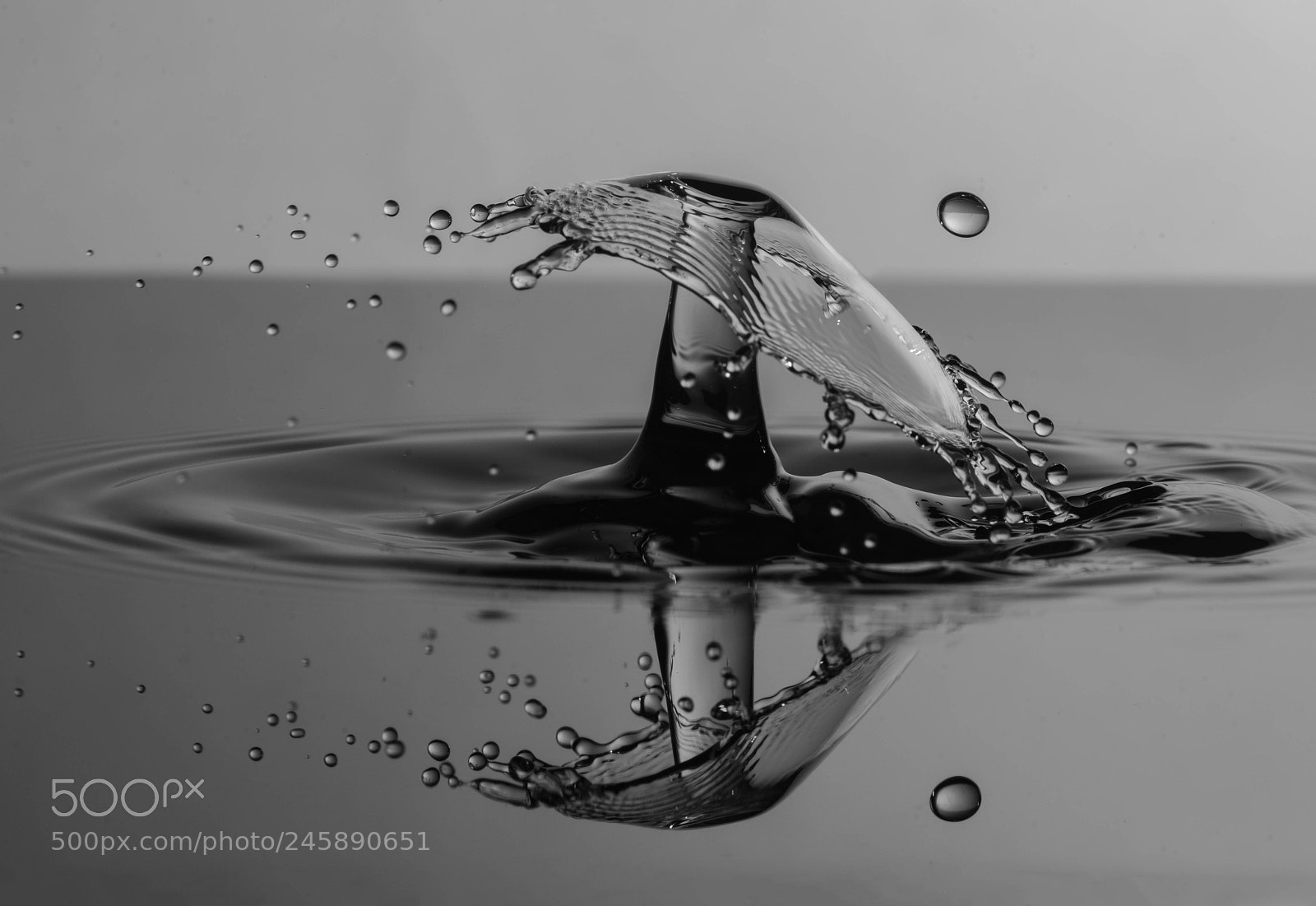 Nikon D800 sample photo. Untitled photography