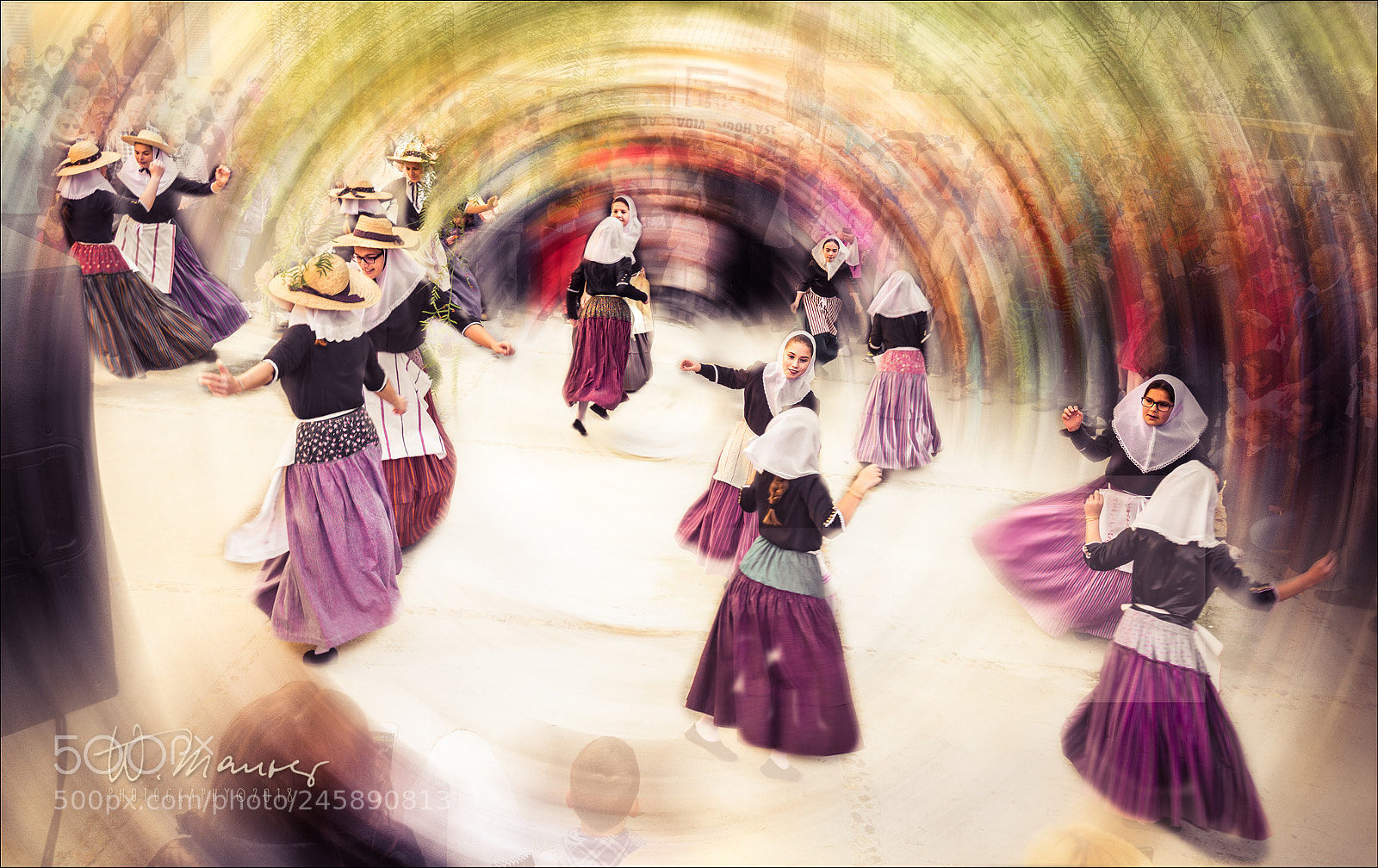 Nikon D800 sample photo. Dance for the almond photography