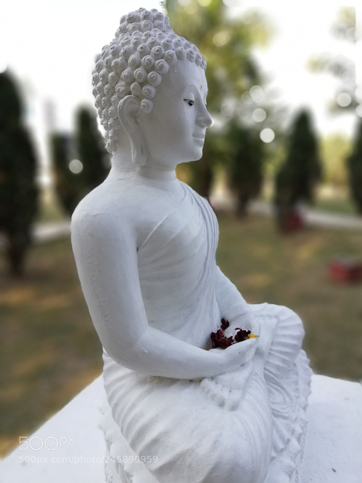 HUAWEI nova 2i sample photo. Edf photography