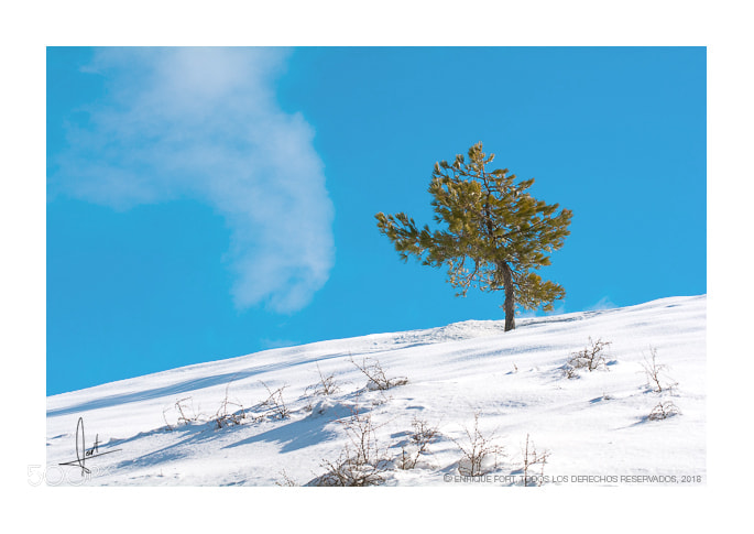 Nikon D7100 sample photo. Sierra de segura photography