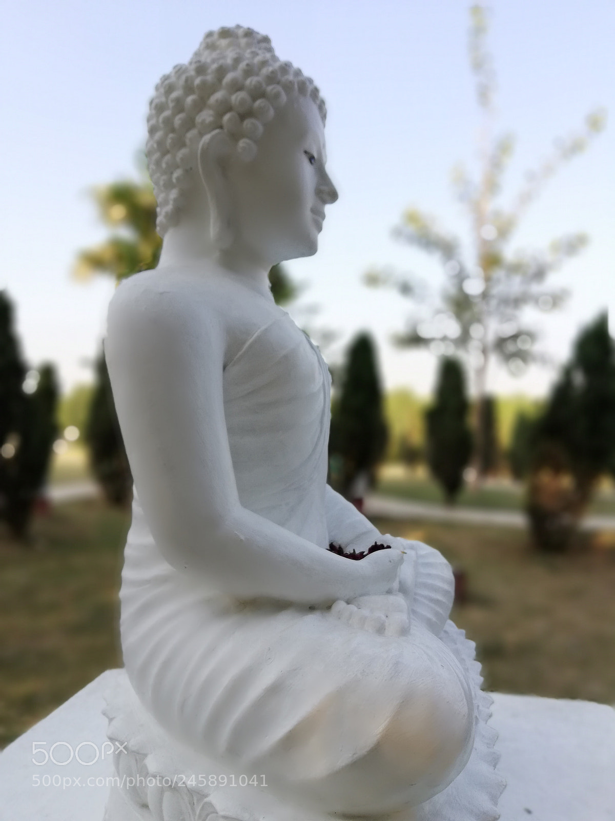 HUAWEI nova 2i sample photo. Rpt photography