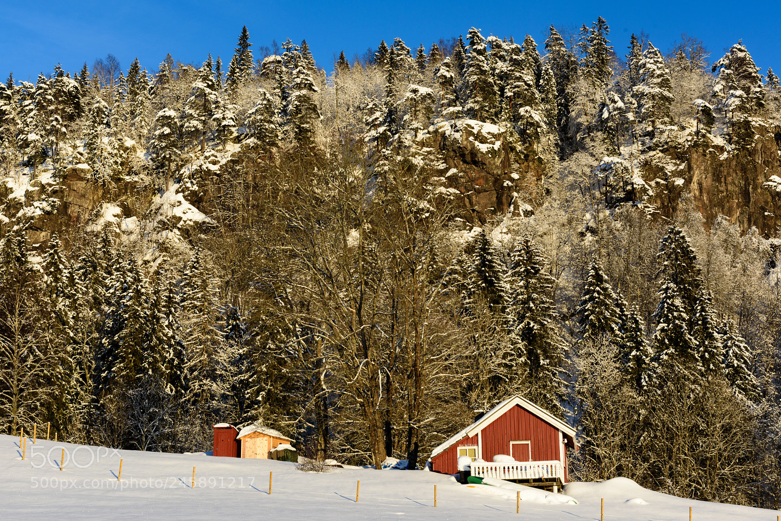 Nikon D810 sample photo. Wrong season photography