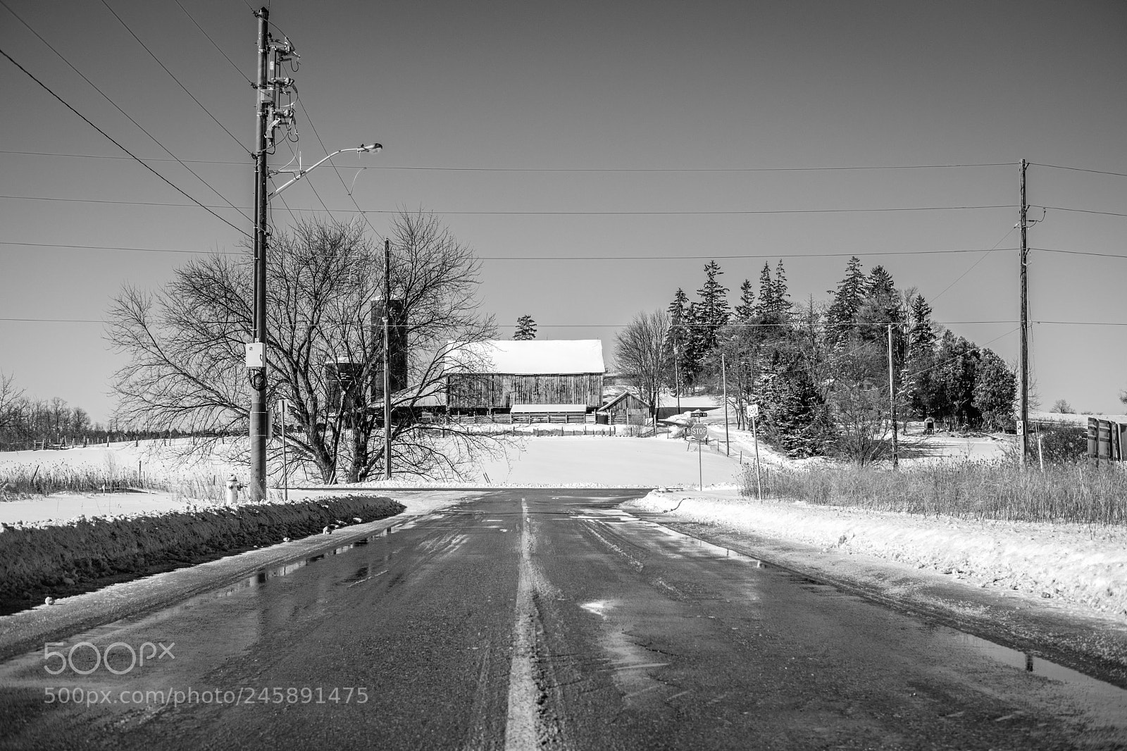 Fujifilm X-T20 sample photo. Untitled shoot photography