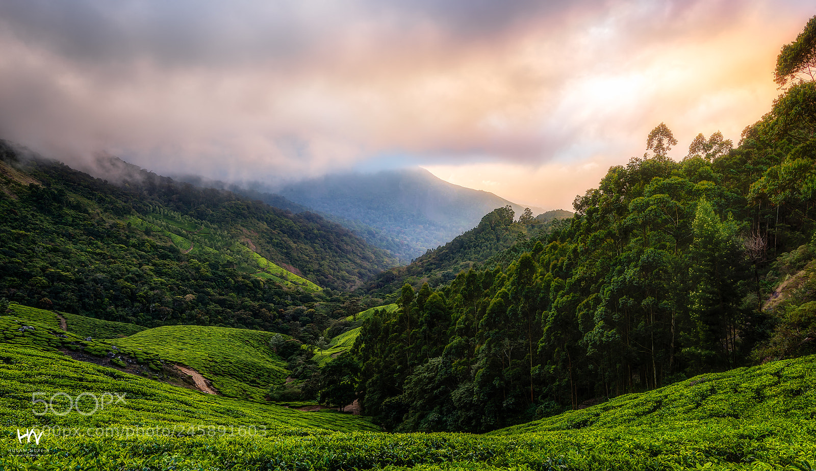 Nikon D800 sample photo. Magical morning photography