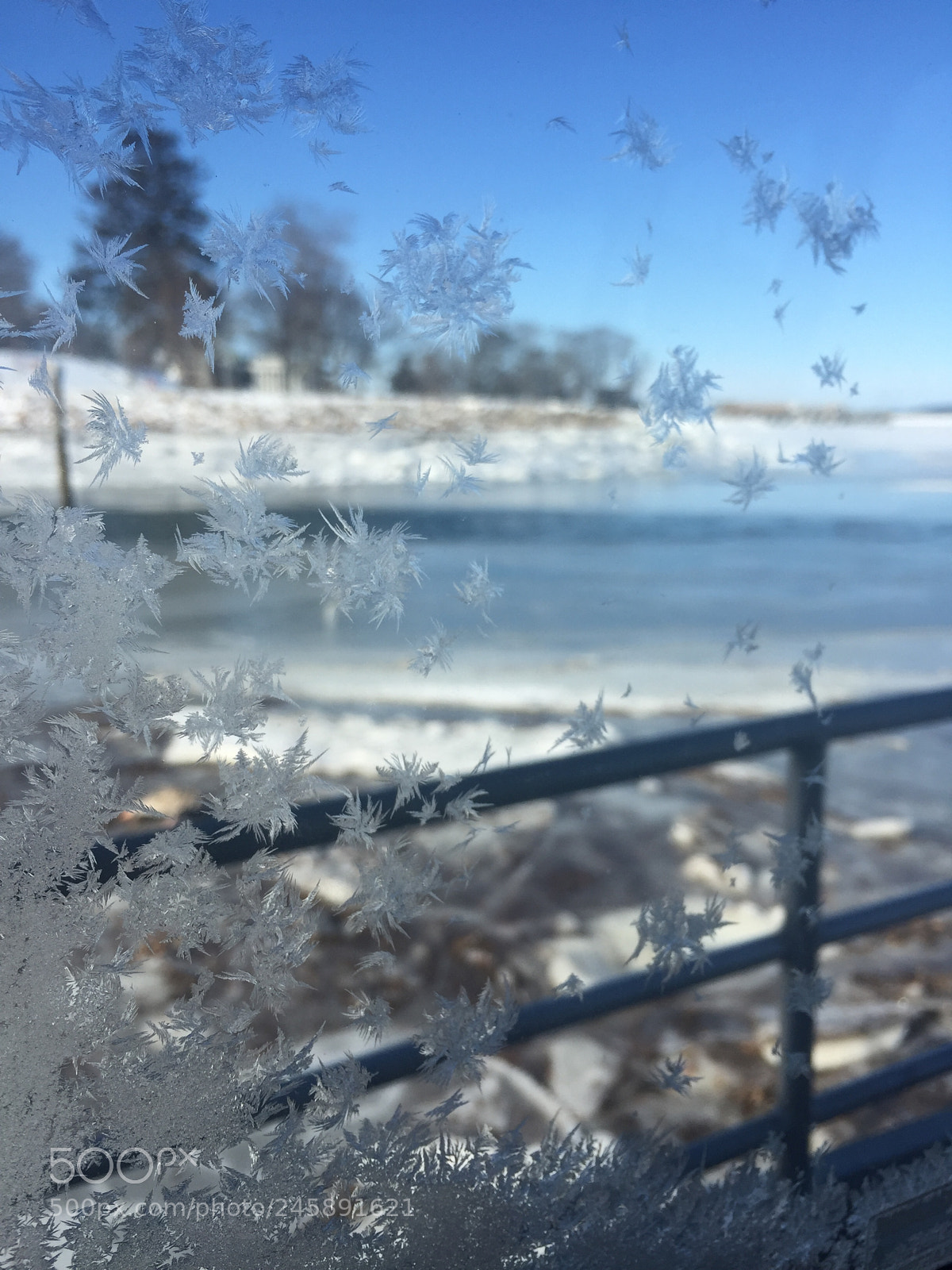 Apple iPhone 6 sample photo. Ice crystals on a photography