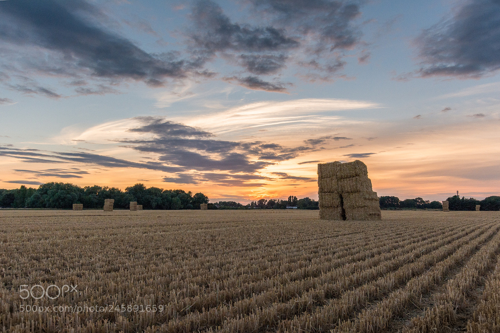 Nikon D7100 sample photo. Bedford corn field photography