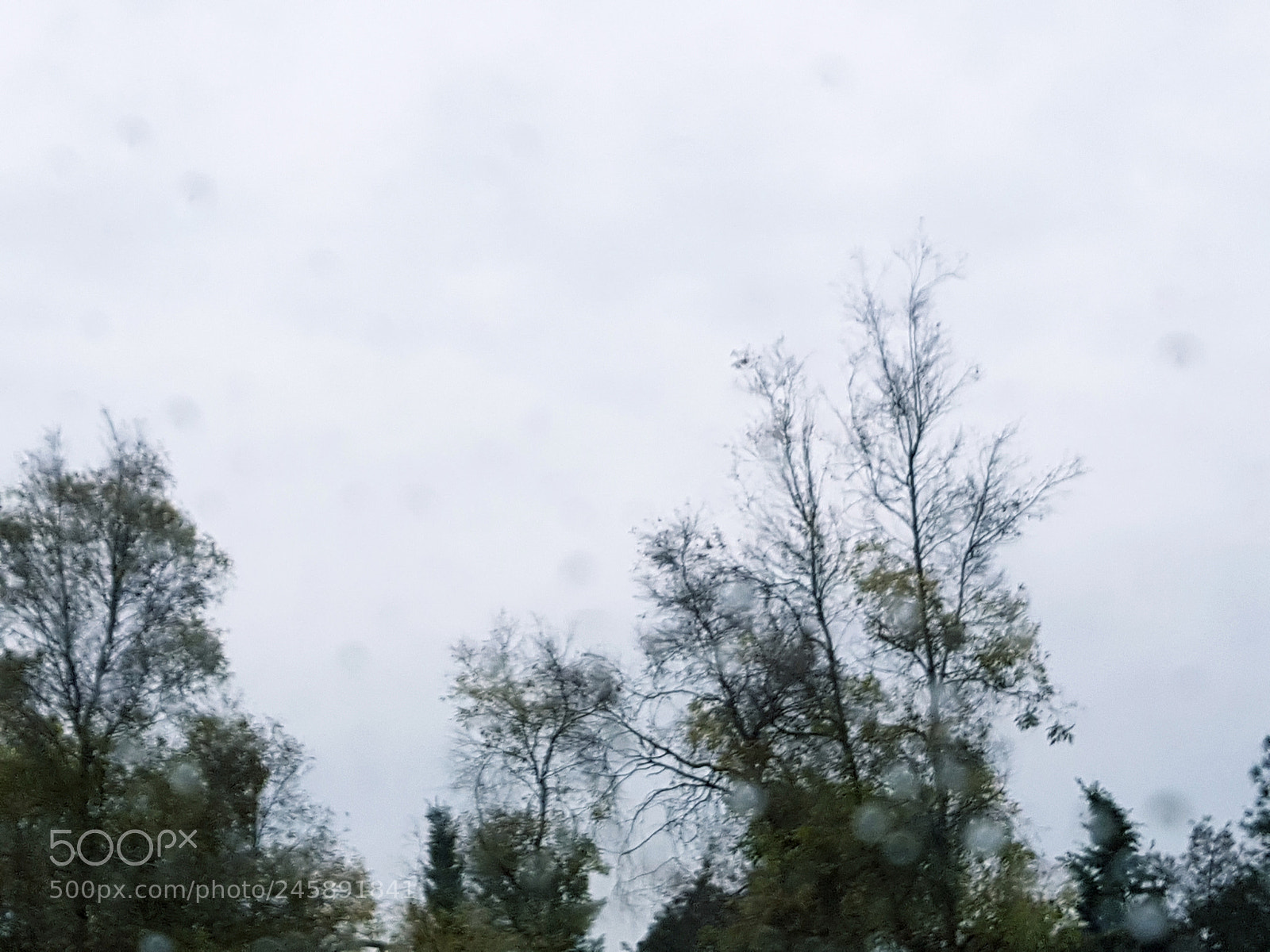 Samsung Galaxy S8+ sample photo. Untitled photography