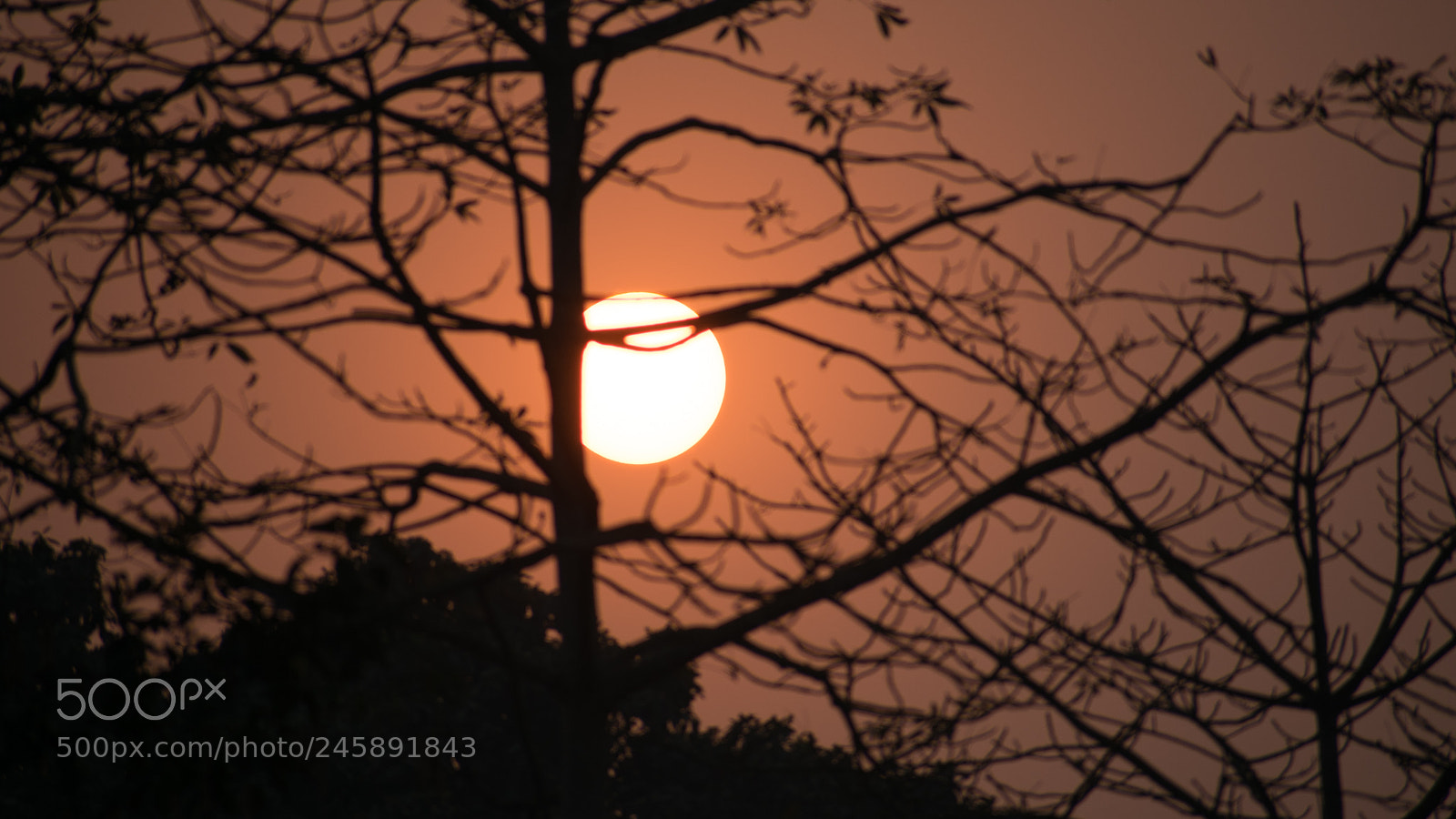 Nikon D3400 sample photo. Dusk sun at jalpaiguri photography