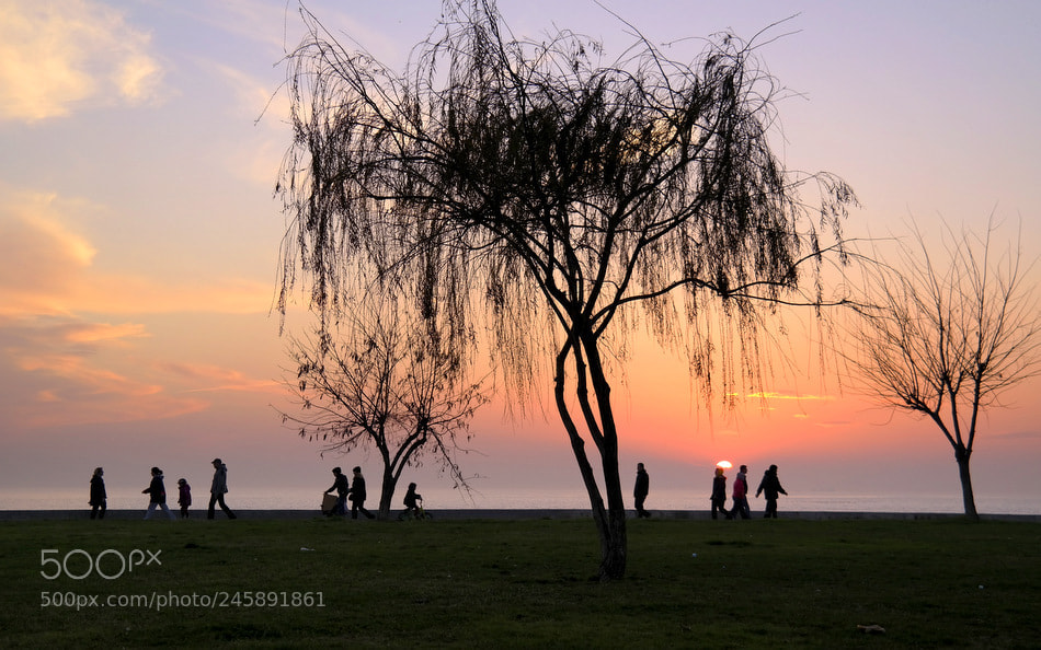 Samsung NX300 sample photo. ... photography