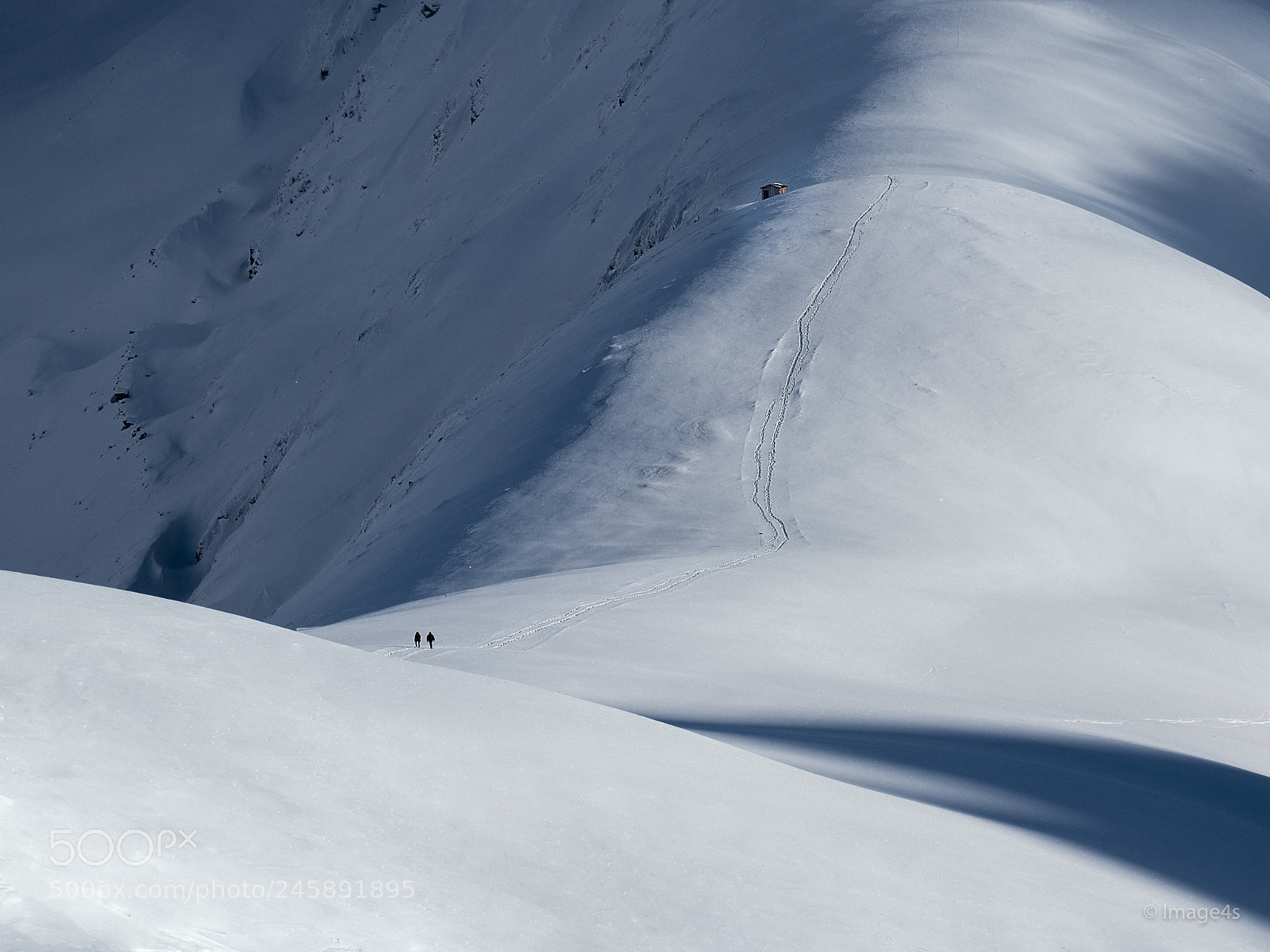Nikon D850 sample photo. White walkers photography