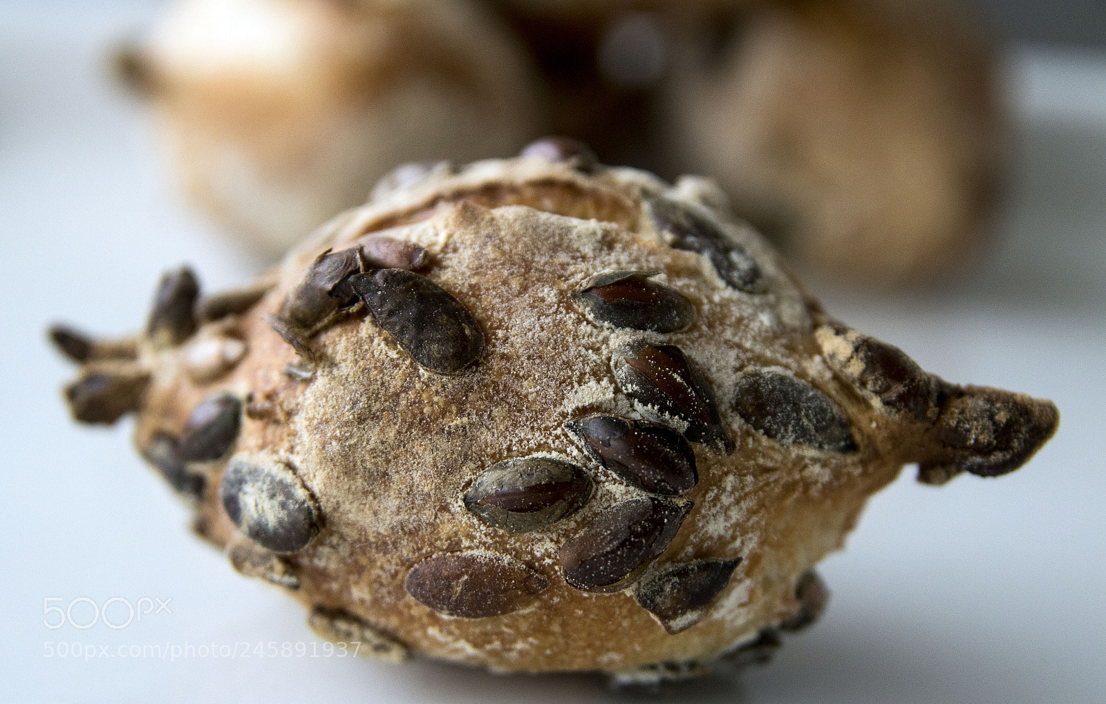 Canon EOS 760D (EOS Rebel T6s / EOS 8000D) sample photo. Sourdoughbun photography