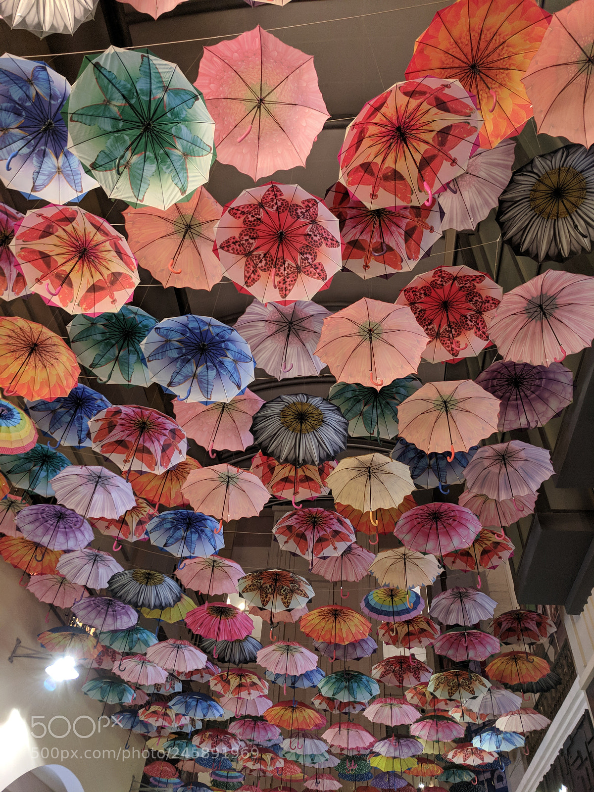 Google Pixel sample photo. Umbrella photography