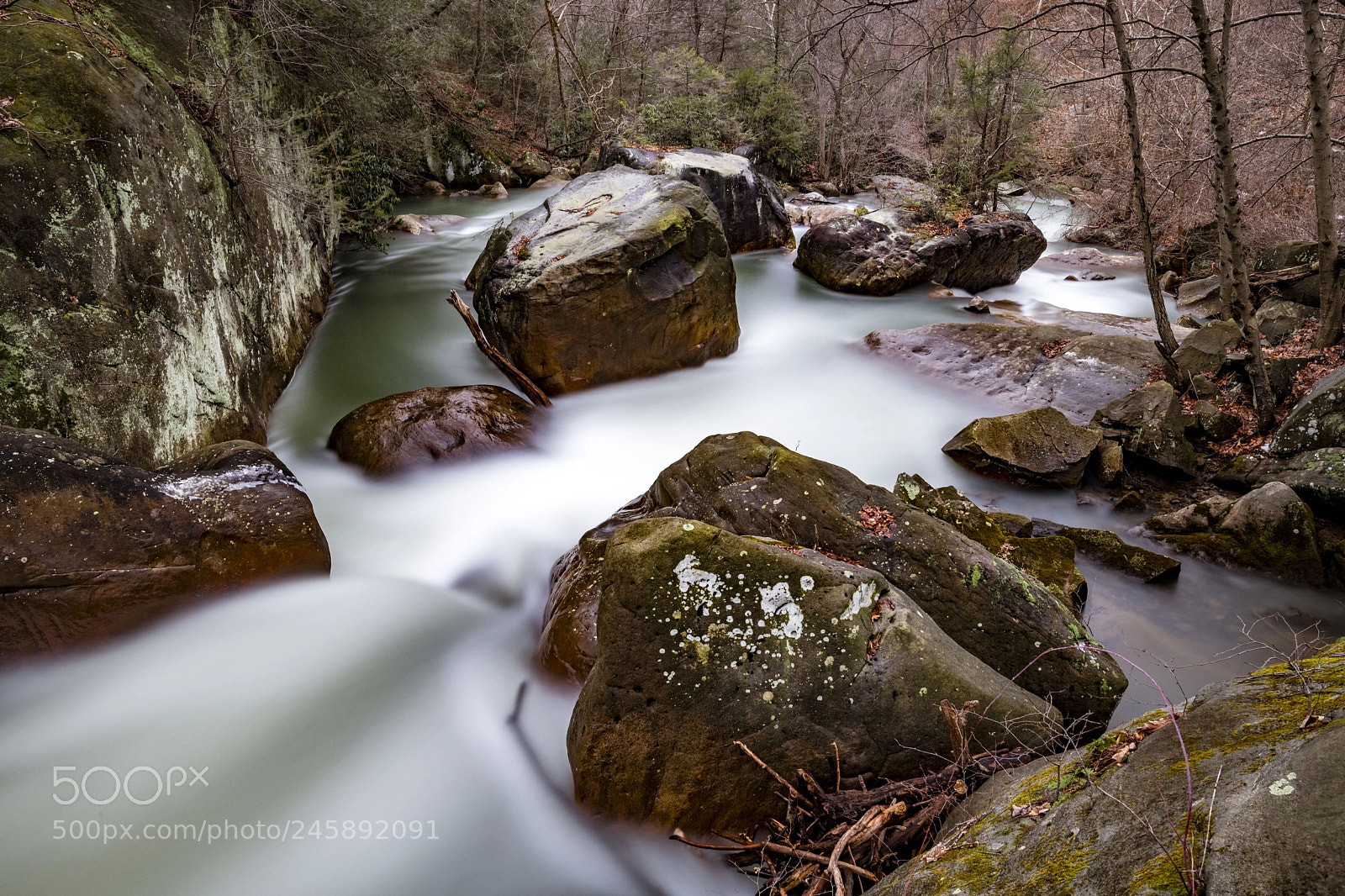 Nikon D850 sample photo. Deckers creek photography