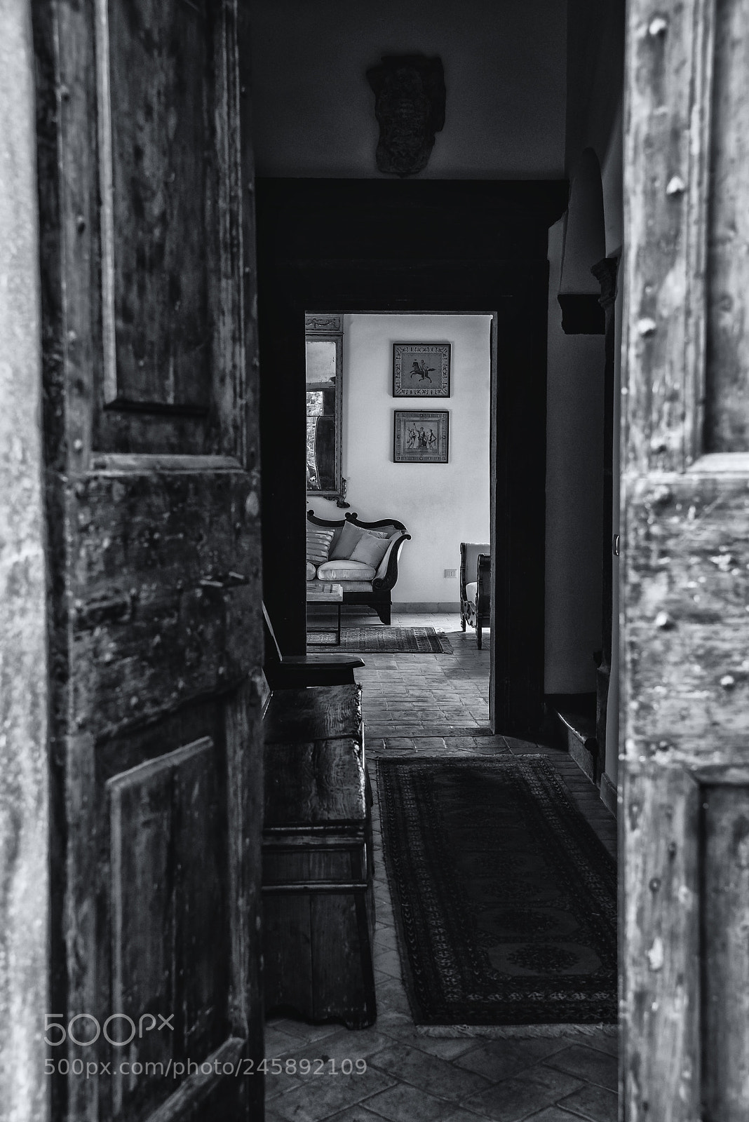 Nikon D800 sample photo. Inside outside photography